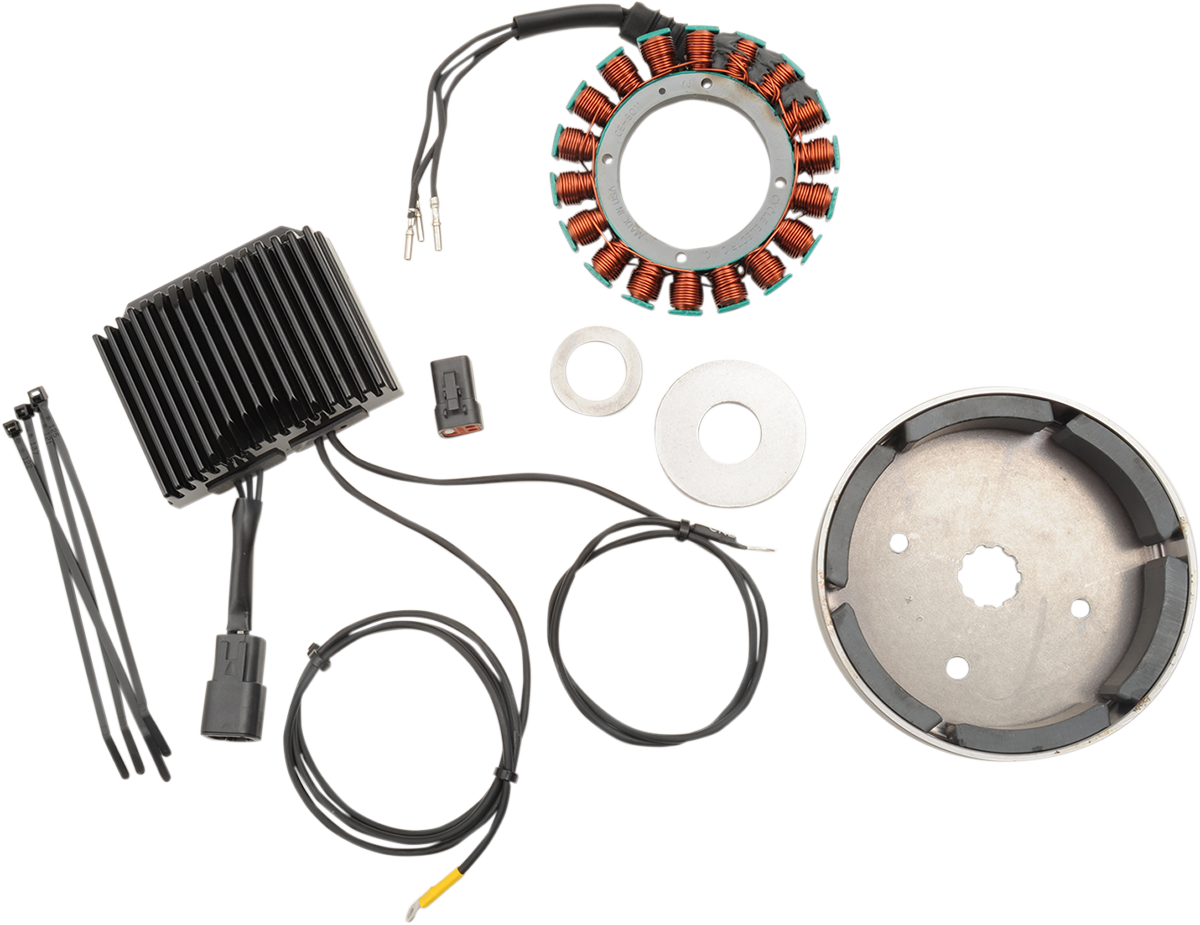 Cycle Electric 38A Charging System 1