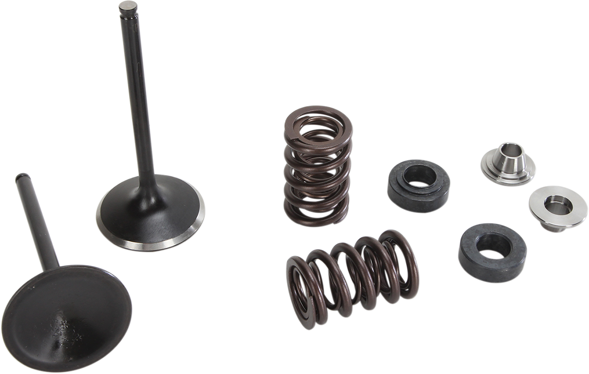 Moose F.E.A. Stainless Steel Valve and Spring Intake Kit
