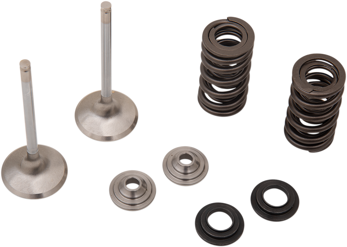 Moose Stainless Steel Valve and Spring Exhaust Kit w Seals